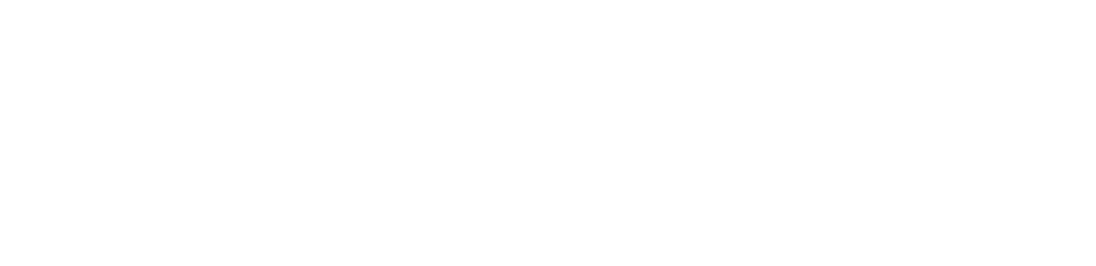 ddi-logo-invert